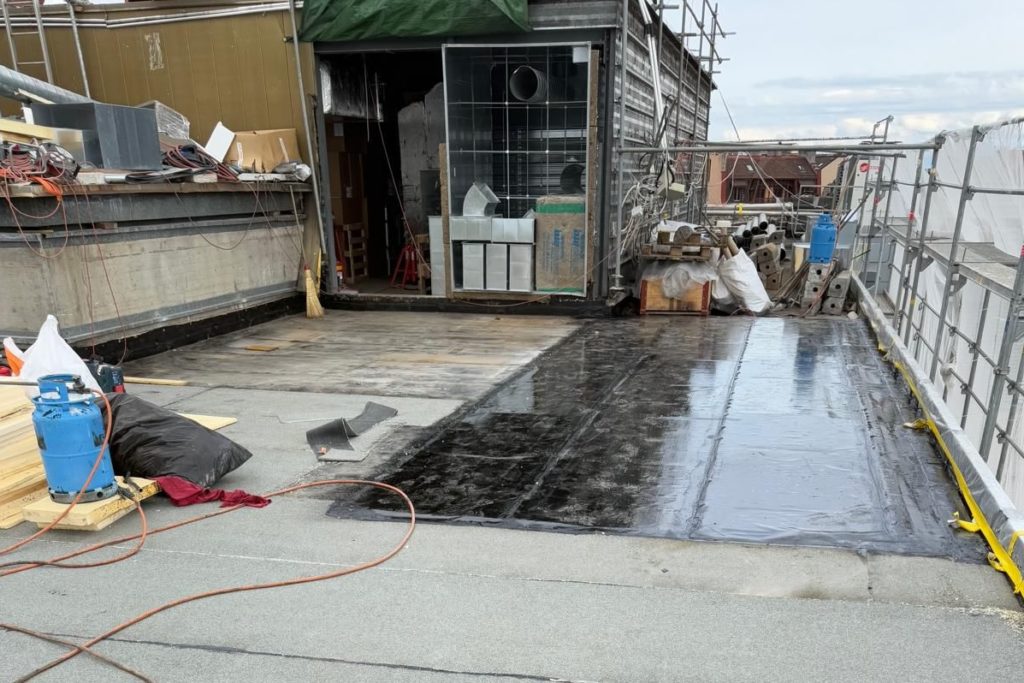 photo 2026 01 26 08 03 08