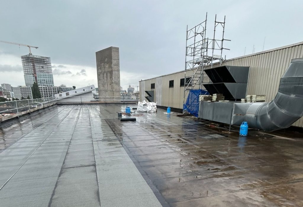 photo 2026 01 26 08 03 08 2