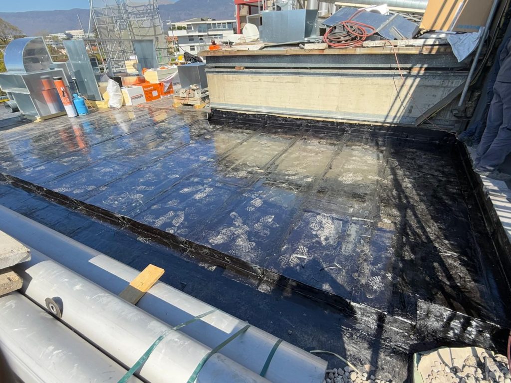 photo 2026 01 26 08 03 08 2