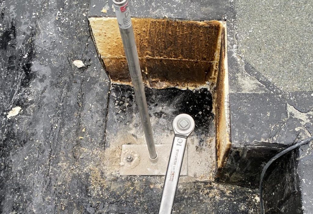 photo 2026 01 26 08 03 08 2