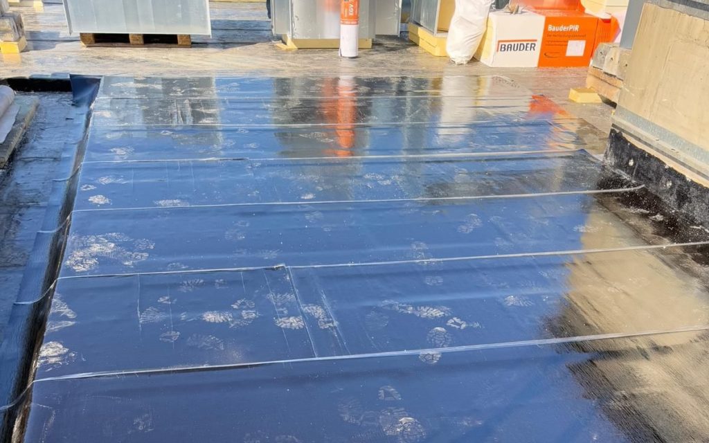 photo 2026 01 26 08 03 08 3