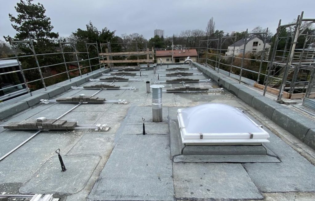 photo 2026 01 26 08 03 08