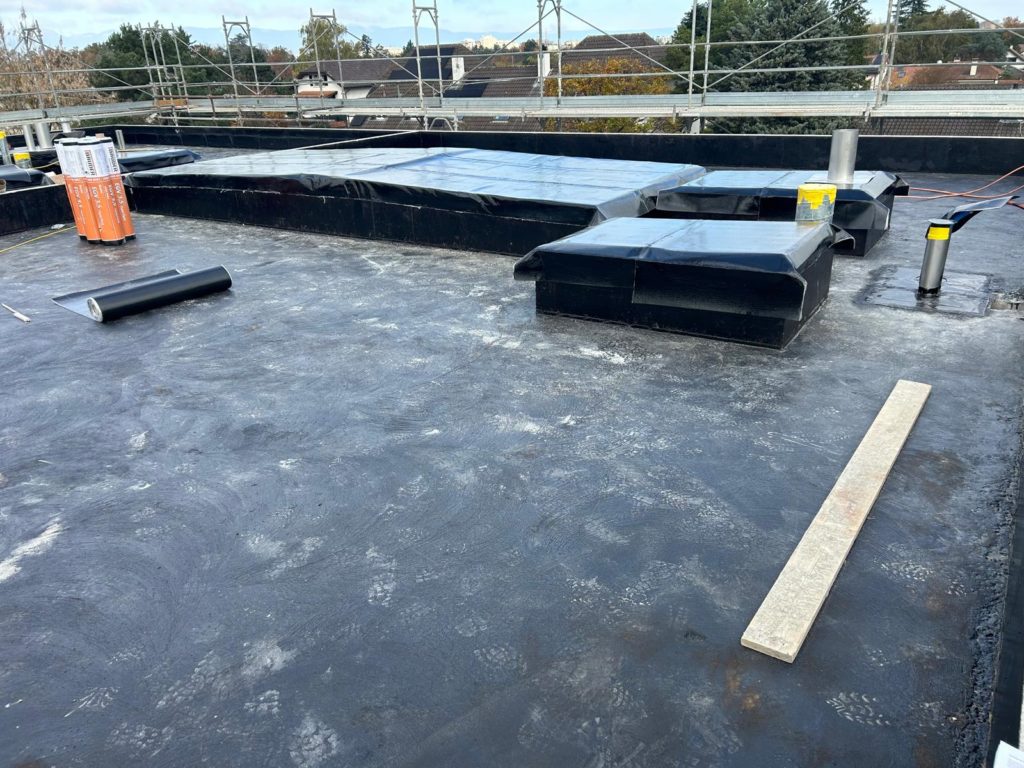 photo 2026 01 26 08 03 07