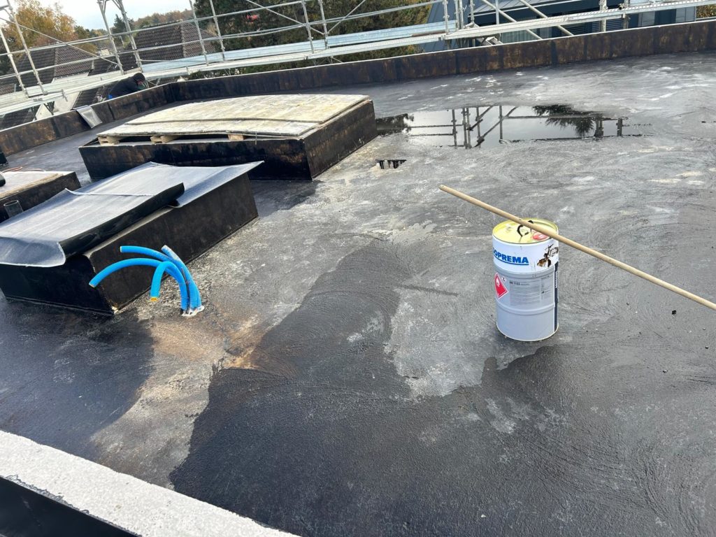 photo 2026 01 26 08 03 07 3