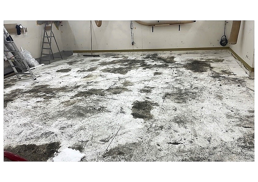 ca3efdcb b734 4017 87ea 5ad14691e7d8 1 201 a enhanced